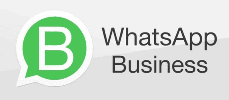 WhatsApp Business crystal Apk